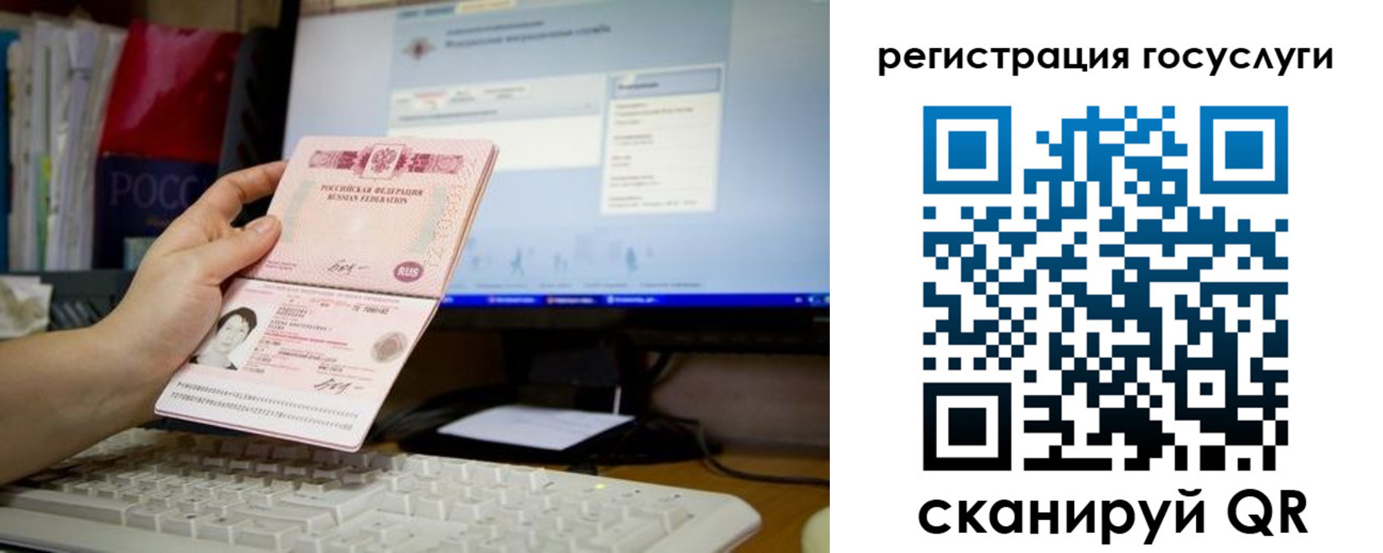 прописка поиск в Щёкино